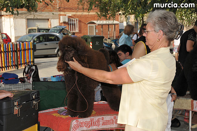 Concurso canino Fiestas de Santiago 2009 - 51